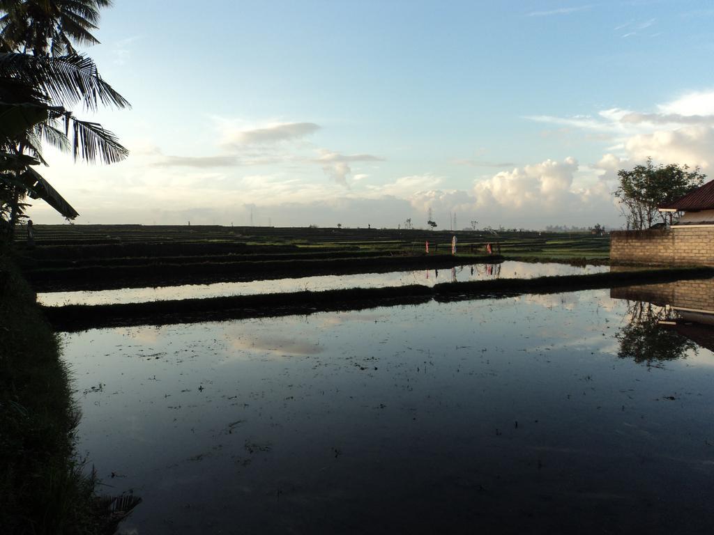D'Tegale Homestay Cepaka Exteriér fotografie