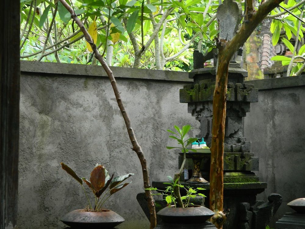 D'Tegale Homestay Cepaka Exteriér fotografie