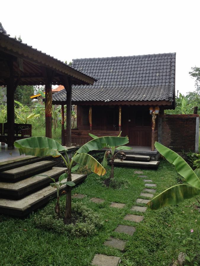 D'Tegale Homestay Cepaka Exteriér fotografie
